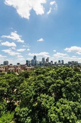 Atlanta skyline showing blue sky with greenery in foreground.