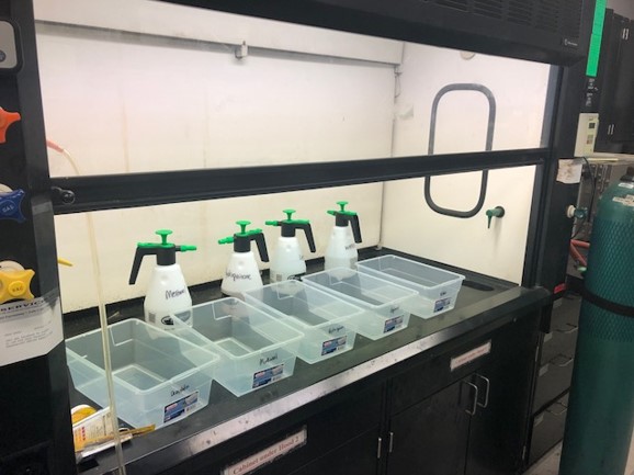 clean fume hood with multiple bins for washing chemical bottles