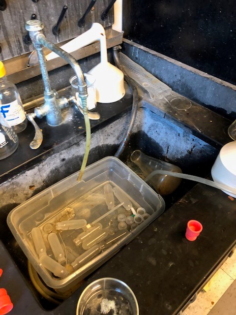 lab sink filled with glassware and containers