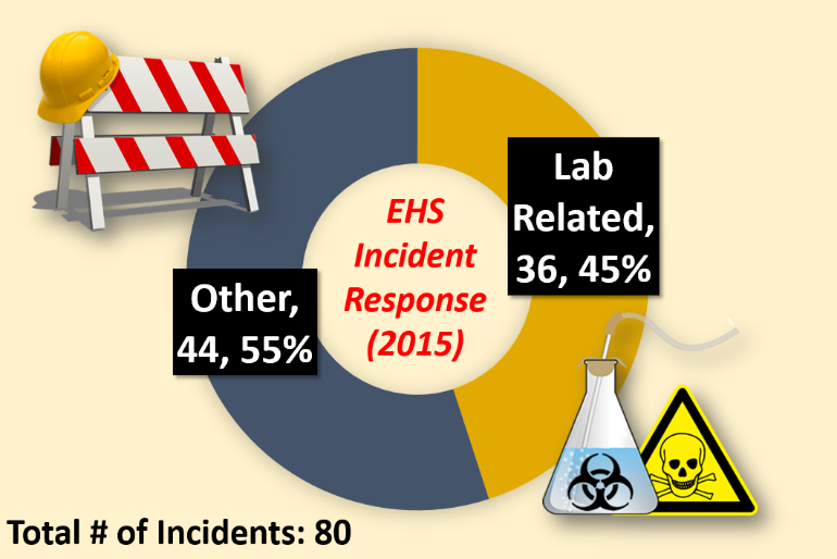 Lab related incidents - 36 (45%), Other incidents - 44 (55%)