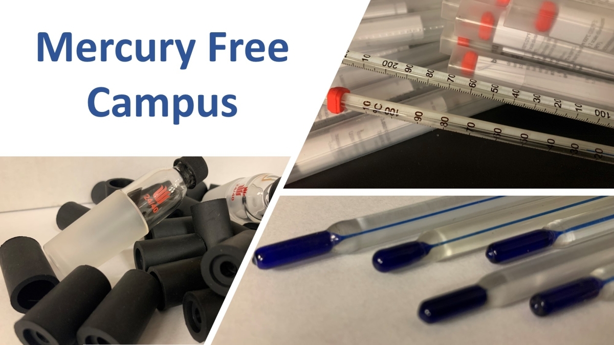 Mercury Free Campus photo with thermometers